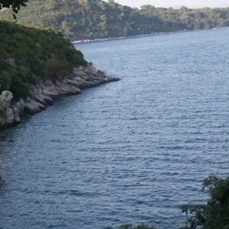 Lejlighed Laura Mljet - One Bedroom With Balcony And Sea View