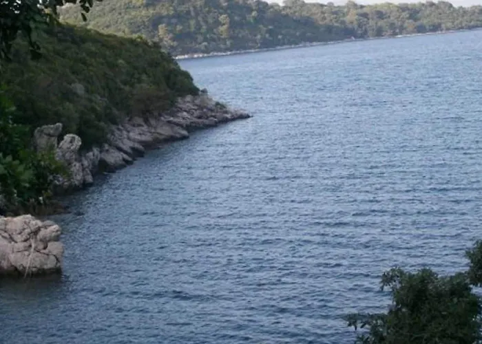 Lejlighed Laura Mljet - One Bedroom With Balcony And Sea View